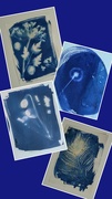 26th Jun 2024 - Wet Cyanotypes