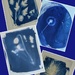 Wet Cyanotypes