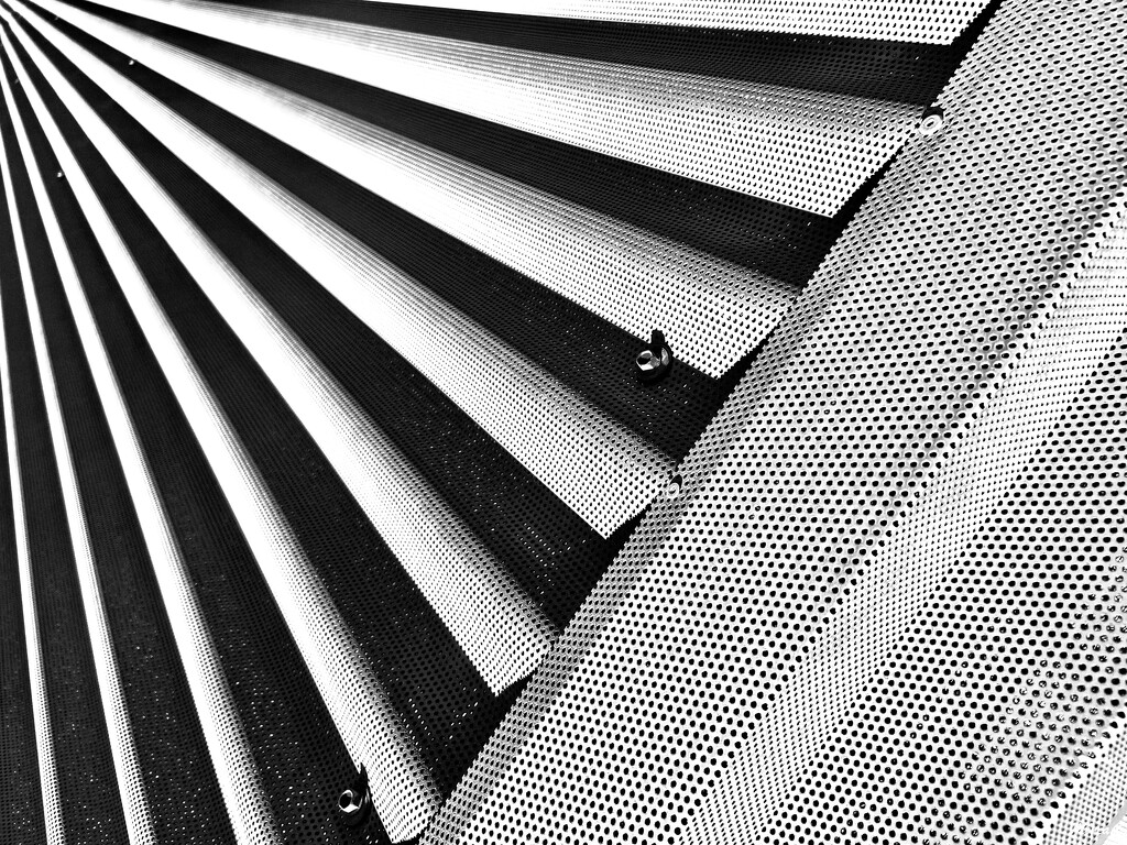 Lines by monicac