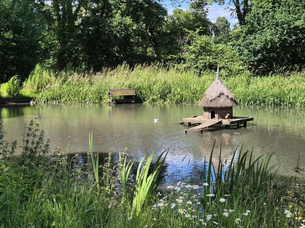 Hartley Wintney duck pond. by happyteg