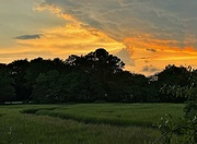 26th Jun 2024 - Marsh creek sunset