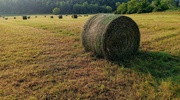 18th Jun 2024 - Sunrise and Round Bales