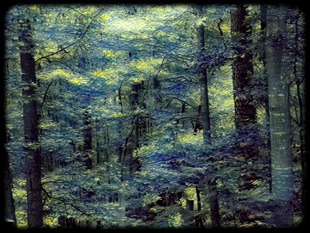 Starry night woods... by marlboromaam