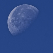 27th Jun 2024 - Waning Gibbous 66