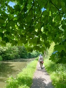 27th Jun 2024 - Stratford Upon Avon Canal 