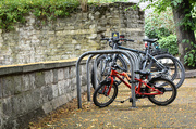 27th Jun 2024 - Parent and child parking