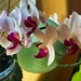 6 25 White and Magenta Orchid