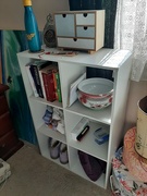 28th Jun 2024 - Shelving 