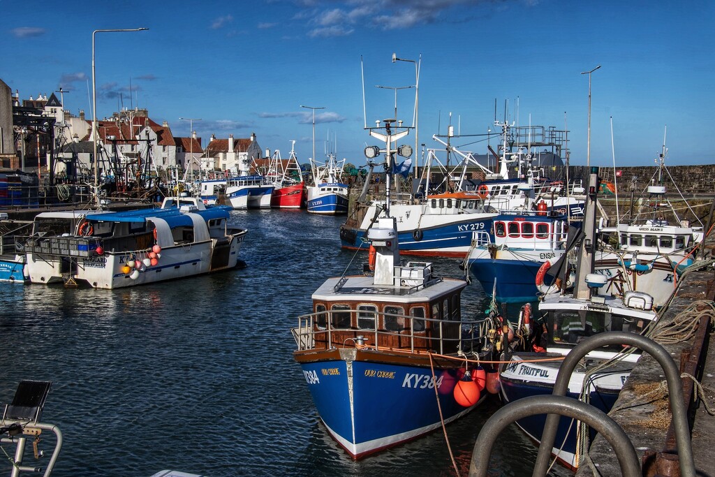 A busy harbour at Pittenweem. by billdavidson