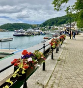 28th Jun 2024 - Dartmouth 