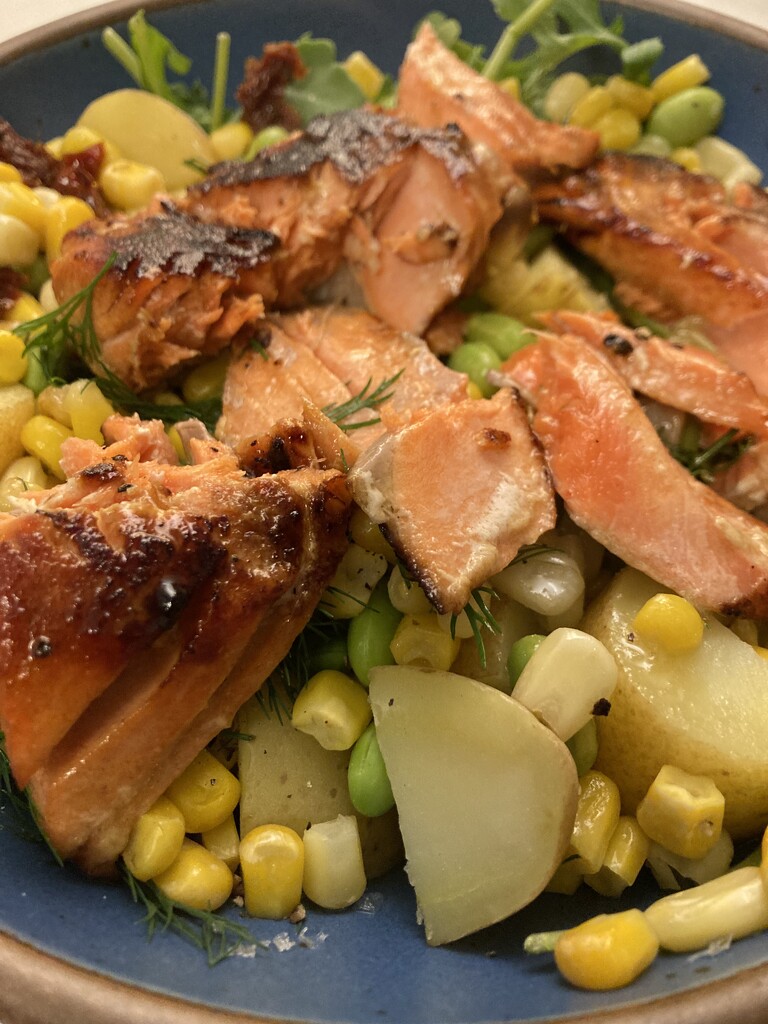 salmon nicoise salad by wiesnerbeth