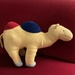 camel has been found!