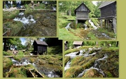 29th Jun 2024 - ONE MORE FROM THE WATERMILLS