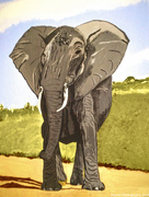 29th Jun 2024 - Elephant (painting)