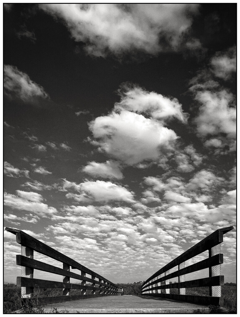 Pier into the Skies by aikiuser