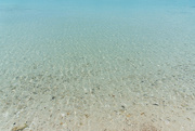 17th Jun 2024 - Crystal Clear