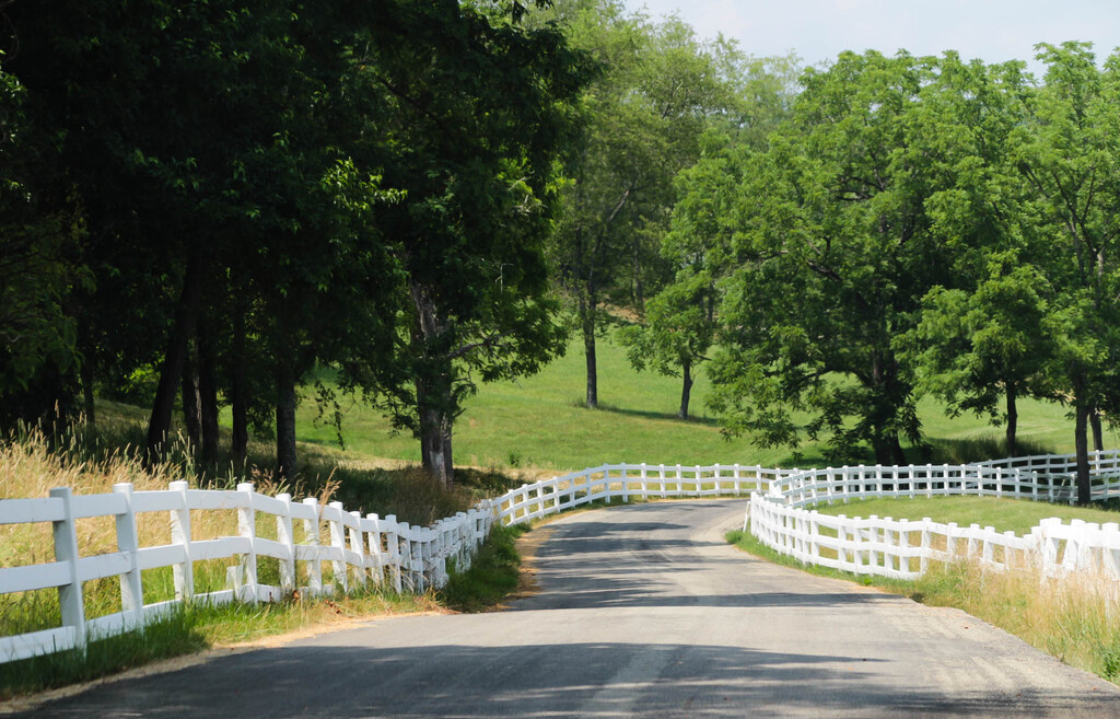 A fence along the road by mittens