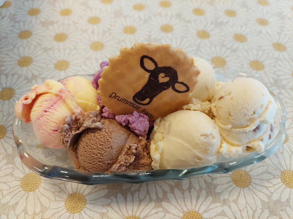 6 scoop taster ice cream 😋 by samcat
