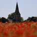 Poppy Church  by phil_sandford