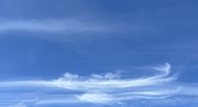 29th Jun 2024 - Cirrus