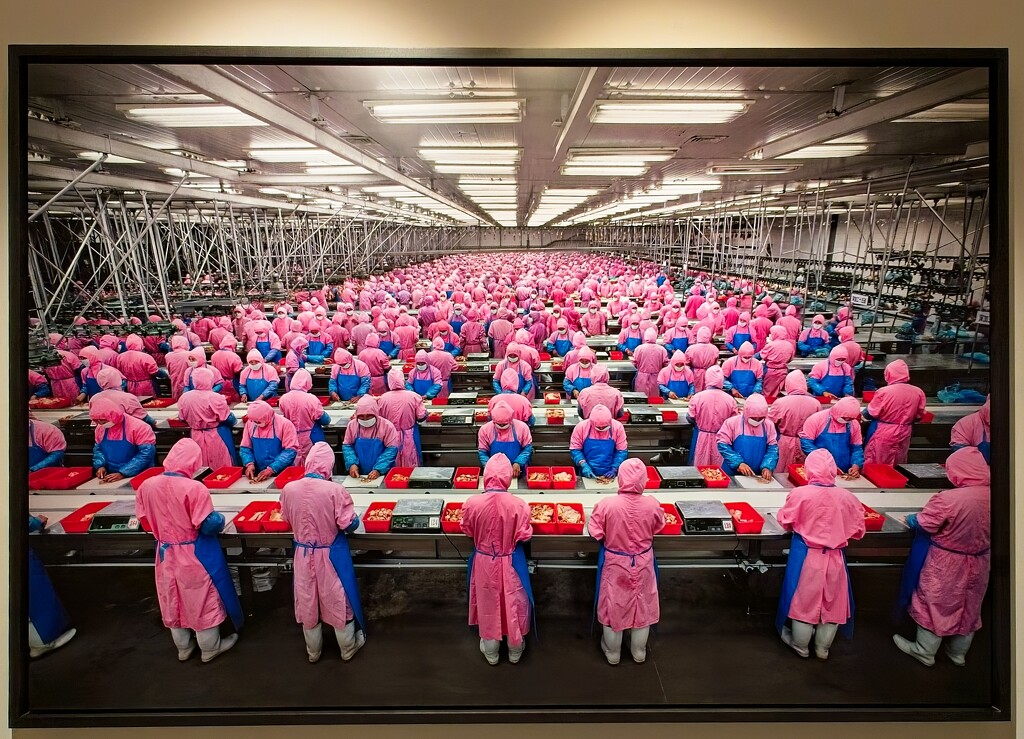 Chicken Processing Plant - China by billyboy