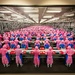 Chicken Processing Plant - China by billyboy