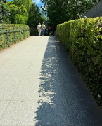 27th Jun 2024 - Loved this cut-out shadow