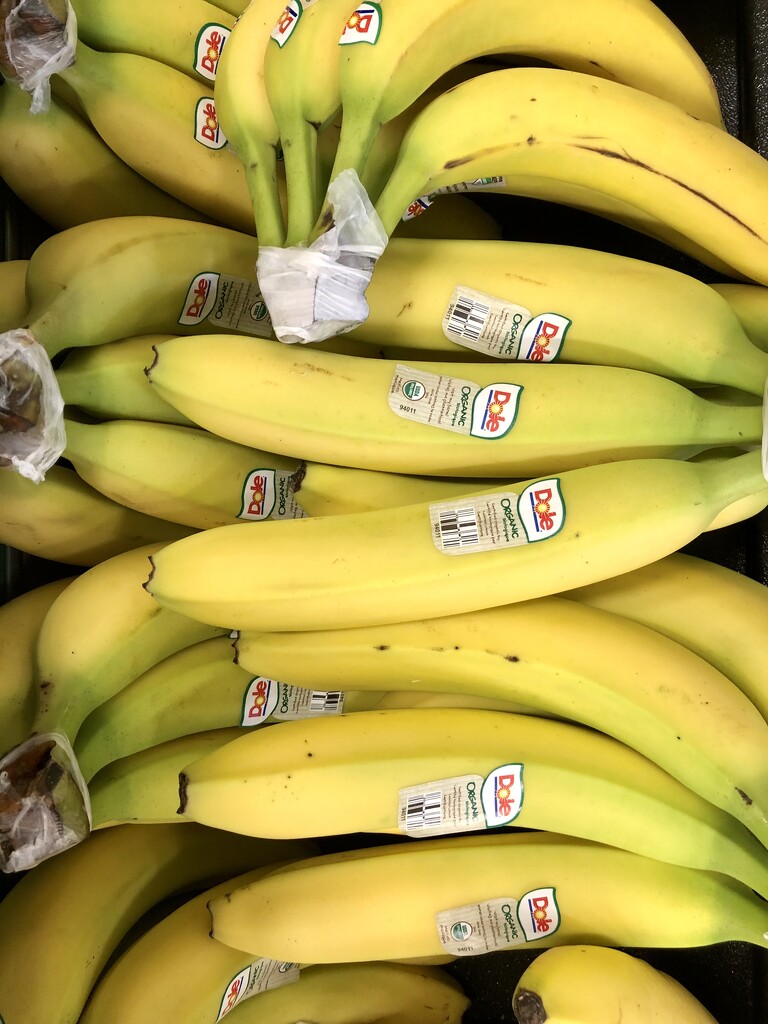 Bananas by loweygrace