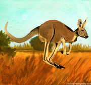 30th Jun 2024 - Kangaroo (painting)