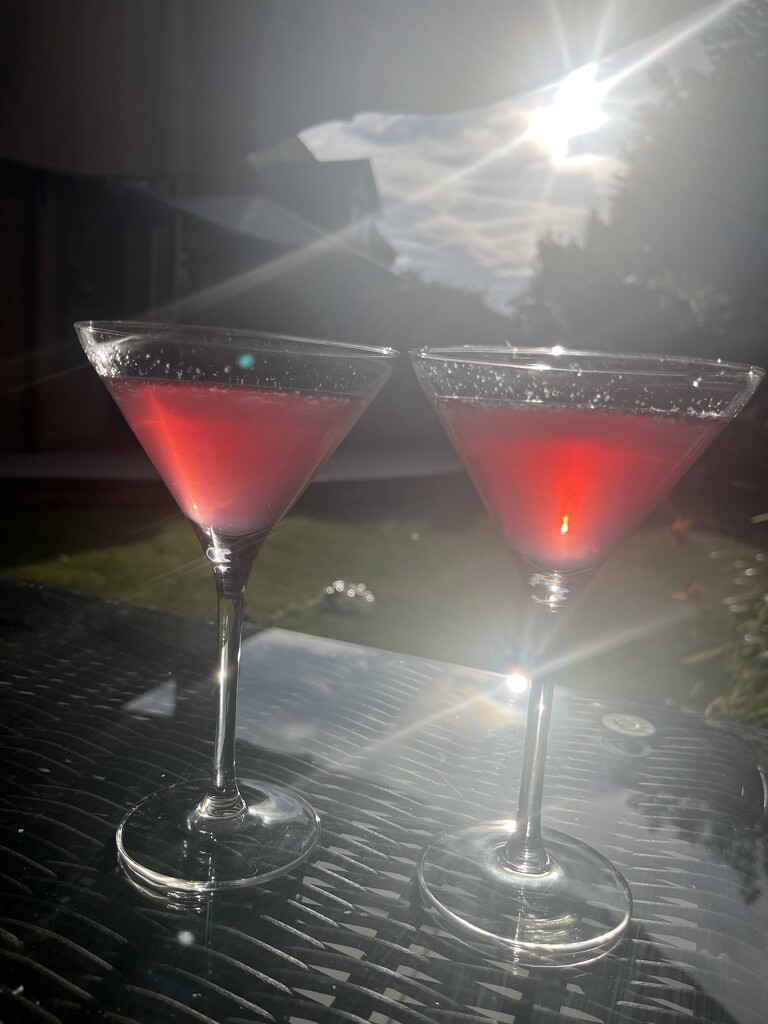Sunny Cocktails by elainepenney