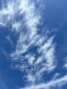 29th Jun 2024 - Feathery sky