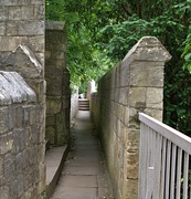 25th Jun 2024 - york city walls 