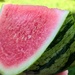 039: Watermelon 