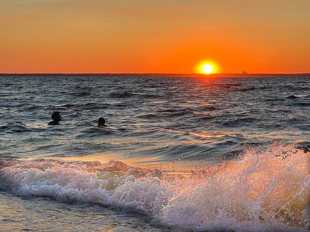Sunset Swim by jnewbio