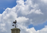 30th Jun 2024 - Weather Vane