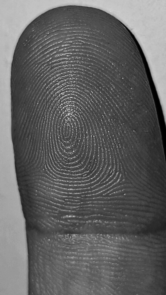 182/366 - Fingerprint by isaacsnek