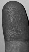 30th Jun 2024 - 182/366 - Fingerprint