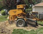 23rd May 2023 - Grinding out a stump