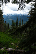 29th Jun 2024 - Nason ridge 