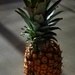 6 29 Pineapple