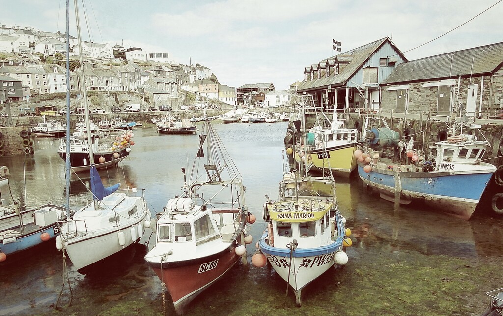 Mevagissey Harbour by cutekitty