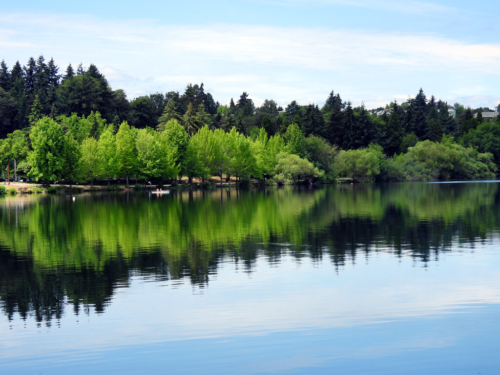 Green Lake's Reflections by seattlite
