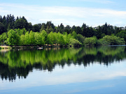 1st Jul 2024 - Green Lake's Reflections