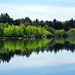 Green Lake's Reflections by seattlite