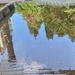 Puddle by monicac