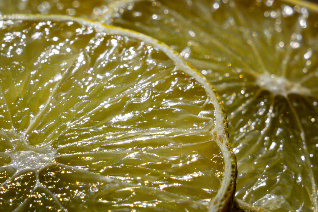 Lime Macro by hannahcallier