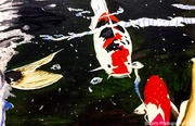 2nd Jul 2024 - Fish  (painting)