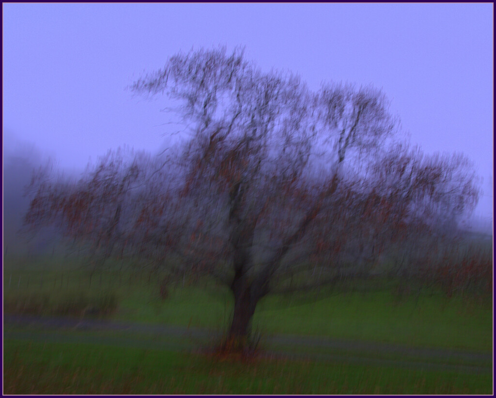 Late Autumn ICM by dide