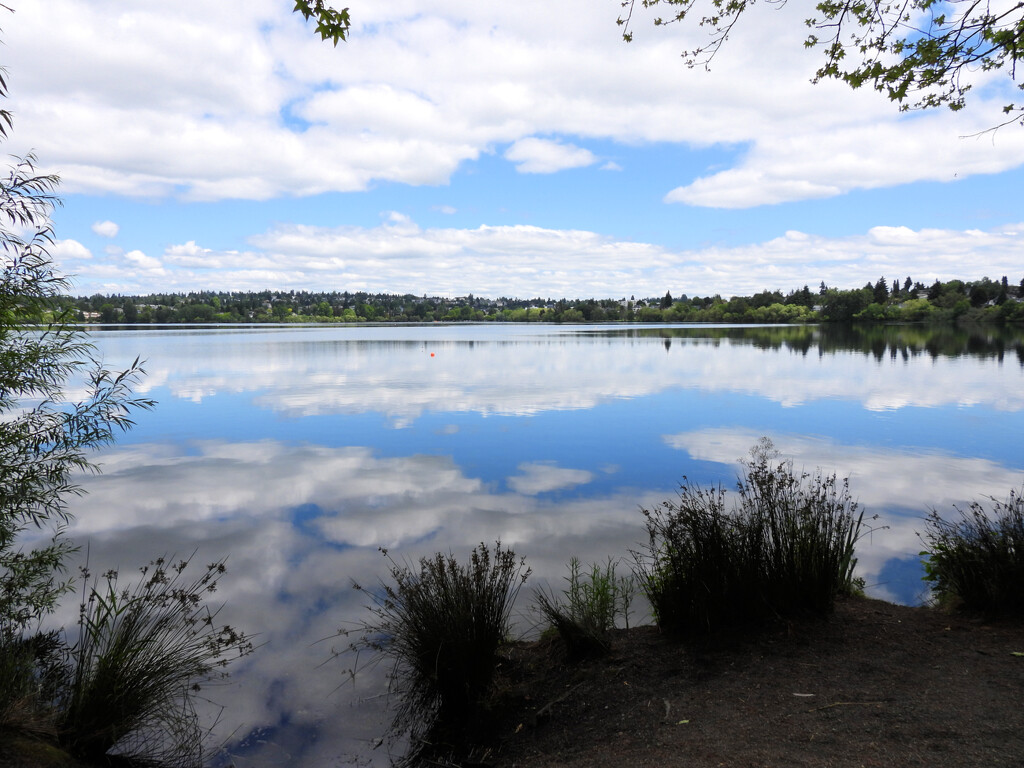 Green Lake's Cloud Reflections by seattlite