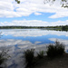 Green Lake's Cloud Reflections